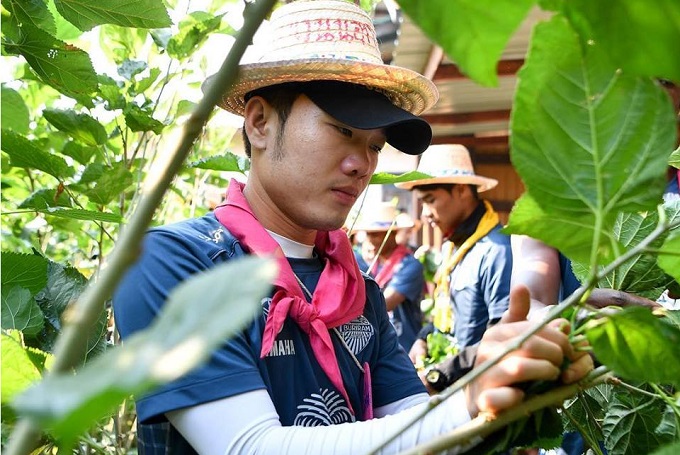 Công Phượng ghi bàn ở Hàn Quốc, Xuân Trường hóa nông dân nuôi tằm