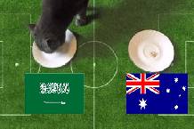 Tiên tri mèo Cass dự đoán Úc vs Saudi Arabia, 16h10 ngày 11/11