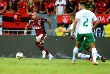 Nhận định, soi kèo Juventude vs Flamengo, 7h30 ngày 10/11